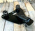 2010-2022 Sportster Harley Spring Solo Seat Mount Kit Black Alligator Leather bc